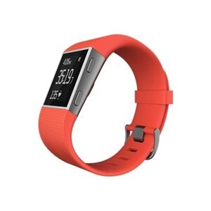fitbit surge large